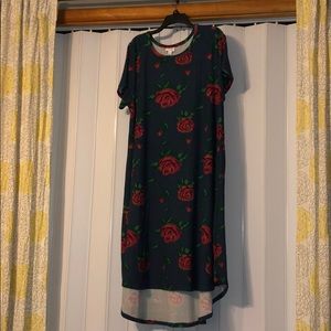 LulaRoe 2XL Carly in legging material